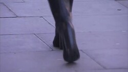 Stock Shots Anonymous Pedestrians and Commuters News Clip