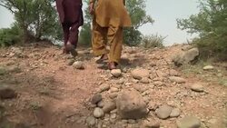 Reptile population under threat from poachers wanting lizard oil News Clip