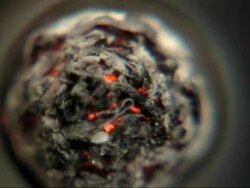 lit cigarette Stock Footage