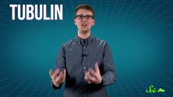 Motor Proteins: Tiny Pirates in Your Cells Instructional Video