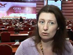 CLEAN: CITES: relief for elephants protectors News Clip