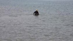 Gold hunter on the beach Stock Footage