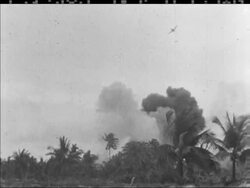 VICTIMS OF VIETNAM News Clip