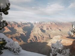 WS View of Grand Canyon through snow covered trees at Yavapai Point / Grand Canyon National Park, Arizona, USA Stock Footage
