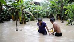 CLEAN : Floods hit Bolivia's indigenous communitie News Clip
