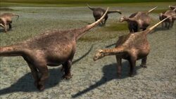 Dinosaurs To Birds Stock Footage