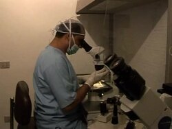 VOICED: Egypt: a law to prevent choosing the sex of babies News Clip