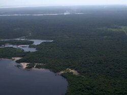 AERIAL: General Views Of Manaus in Brazil Stock Footage