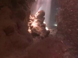Diver (Liam Allan) swims through coral cave into shafts of light  Stock Footage