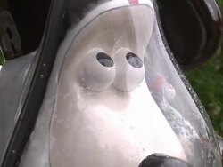 Gromit Sculptures Outside And Ready For Transport News Clip