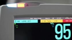 heartbeat Stock Footage