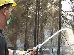 CLEAN: Russia faces 15 billion dollar heatwave losses: economists News Clip