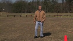 CLEAN: Electromagnetic beam a new non-lethal weapon for US military News Clip