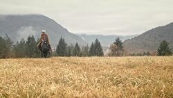 Cowgirl riding her horse across mountain meadow Stock Footage