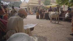 W/S life in the street, Rishikesh, India Stock Footage