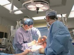 MS  Doctor staples and bandages on childs burnt wounds  /  Little Rock, Arkansas, USA Stock Footage