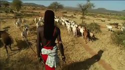 Maasai Warriors train for international cricket competition News Clip