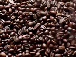 Coffee beans falling Stock Footage
