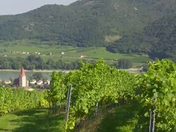 Weissenkirchen in Danube Valley (Austria) PAN Stock Footage