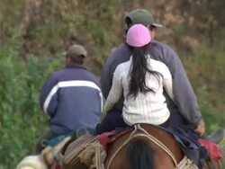 "Family travel on horseback along gravel road on hillside with dog, Amazonas region of Peru [PerÃƒÂº]" Stock Footage