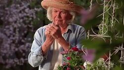 A senior woman rubs her arthritic hands while gardening. Stock Footage