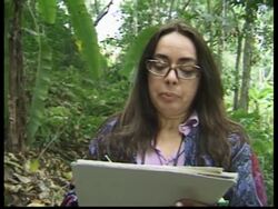 Botanical art captures Brazil's biodiversity News Clip