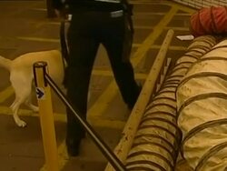 AFTERMATH OF AL QAEDA BOMBING CAMPAIGN ON LONDON TRANSPORT NETWORK... News Clip