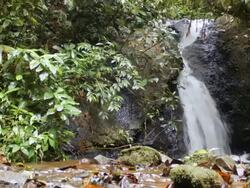 Waterfall in tropical rainforest, Ecuador Stock Footage