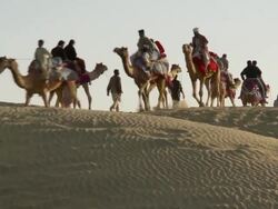  WS Tourist caravan at Tar dessert / Sam Sand Dunes, Rajasthan, India Stock Footage