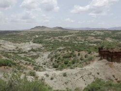 Olduvai Gorge 2 Stock Footage