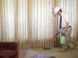 Pest Control Stock Footage