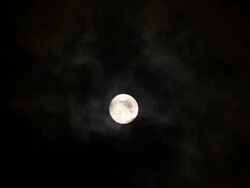 Full moon among clouds Stock Footage