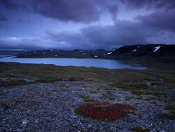 Sparse Landscape Stock Footage