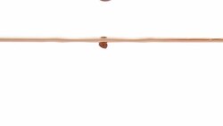 Goldfish catches food Stock Footage