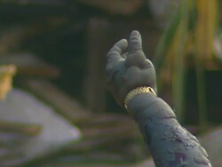 Sri Lanka: Tsunami causes train crash News Clip