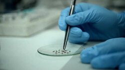 VOICED : Zika puede favorecer trastorno neurologico grave News Clip