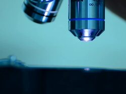 Scientist and bio lab experiment Stock Footage