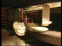 EL SALVADOR: HONDURAN STREET CHILDREN TO BE SENT HOME News Clip