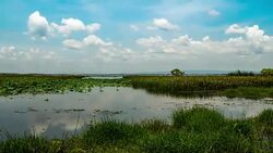 Clouds floating above a lake. Time lapse Stock Footage