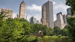 New York central park Stock Footage