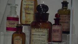 A new pop-up museum dedicated to cannabis Instructional Video