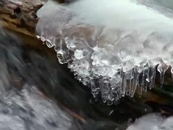 CU Ice formation on stream in spring  / Madoc, Ontaria, Canada Stock Footage
