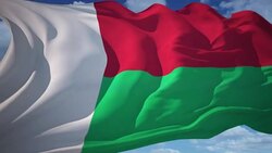 Madagascar Flag Stock Footage