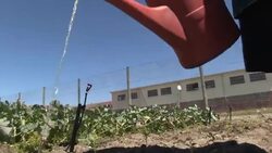 Rotting organic matter creates methane for cheap cooking gas News Clip