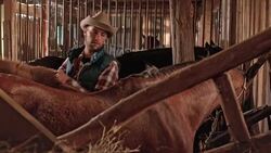 DS Male rancher putting a saddle blanket on his horse Stock Footage
