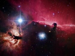 Horsehead nebula, optical image. North is at left. Stock Footage