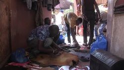 CLEAN : Hope for Malian economy News Clip