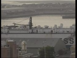 Aust. vet says sheep in "good condition" News Clip