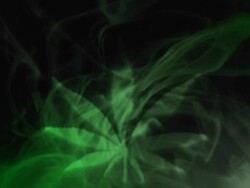 Smoked marijuana leaf. Stock Footage