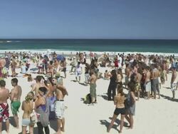 Sun Seekers at Bondi Beach, Sydney, New South Wales, Australia Stock Footage